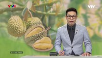 Bản tin tiếng Việt 12h VTV4 - 12/5/2024