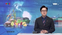 Bản tin tiếng Việt 12h VTV4 - 28/4/2024